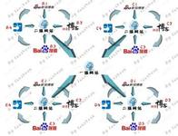 �����齫��Ƥ����Ƶ��ϰ��ƽ����4�����ϡ����ʳƷҩƷ��ȫ...